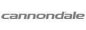 Cannondale Tandems