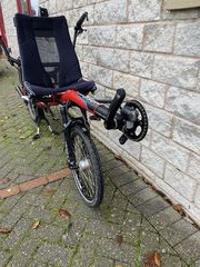 HASE Pino Custom click to zoom image