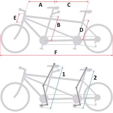 Sizing References